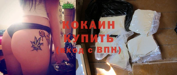 крисы Абаза
