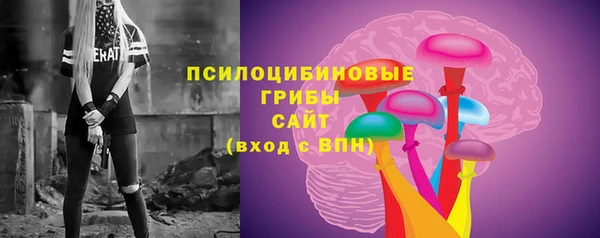 крисы Абаза