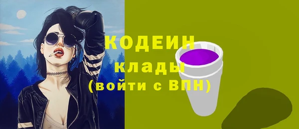 крисы Абаза