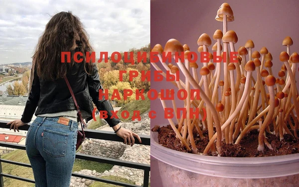 прущий лед Абинск